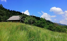 Cottage Svitanok